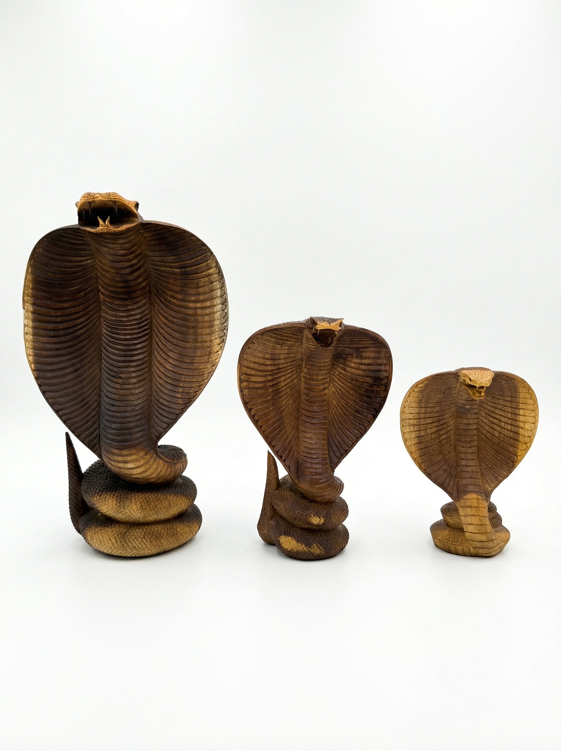 Aggressive Suar Cobra - Wood Carving