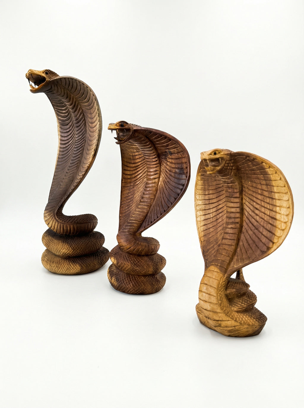 Aggressive Suar Cobra - Wood Carving