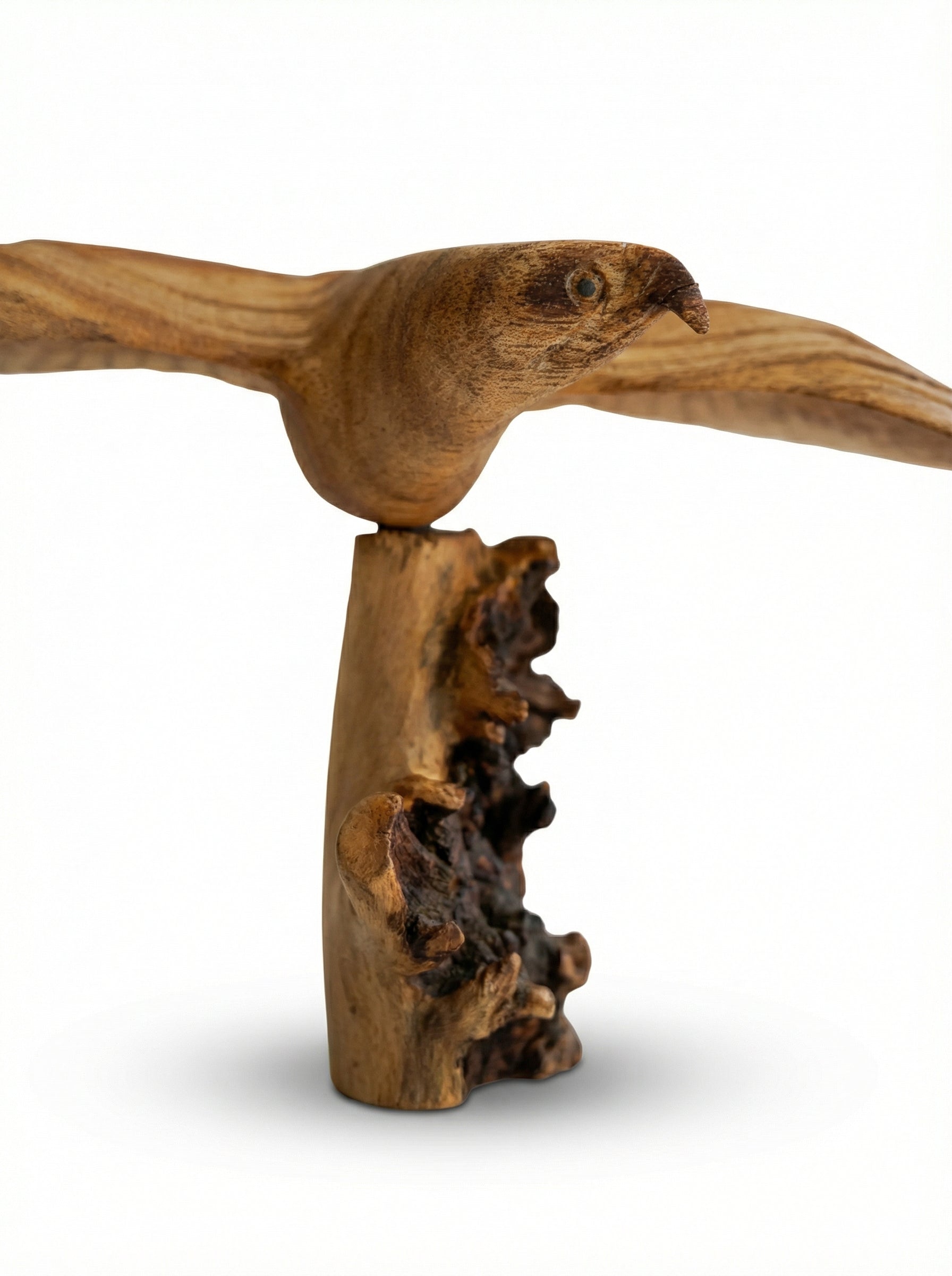 Flying Eagle - Wood Carving