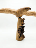 Flying Eagle - Wood Carving