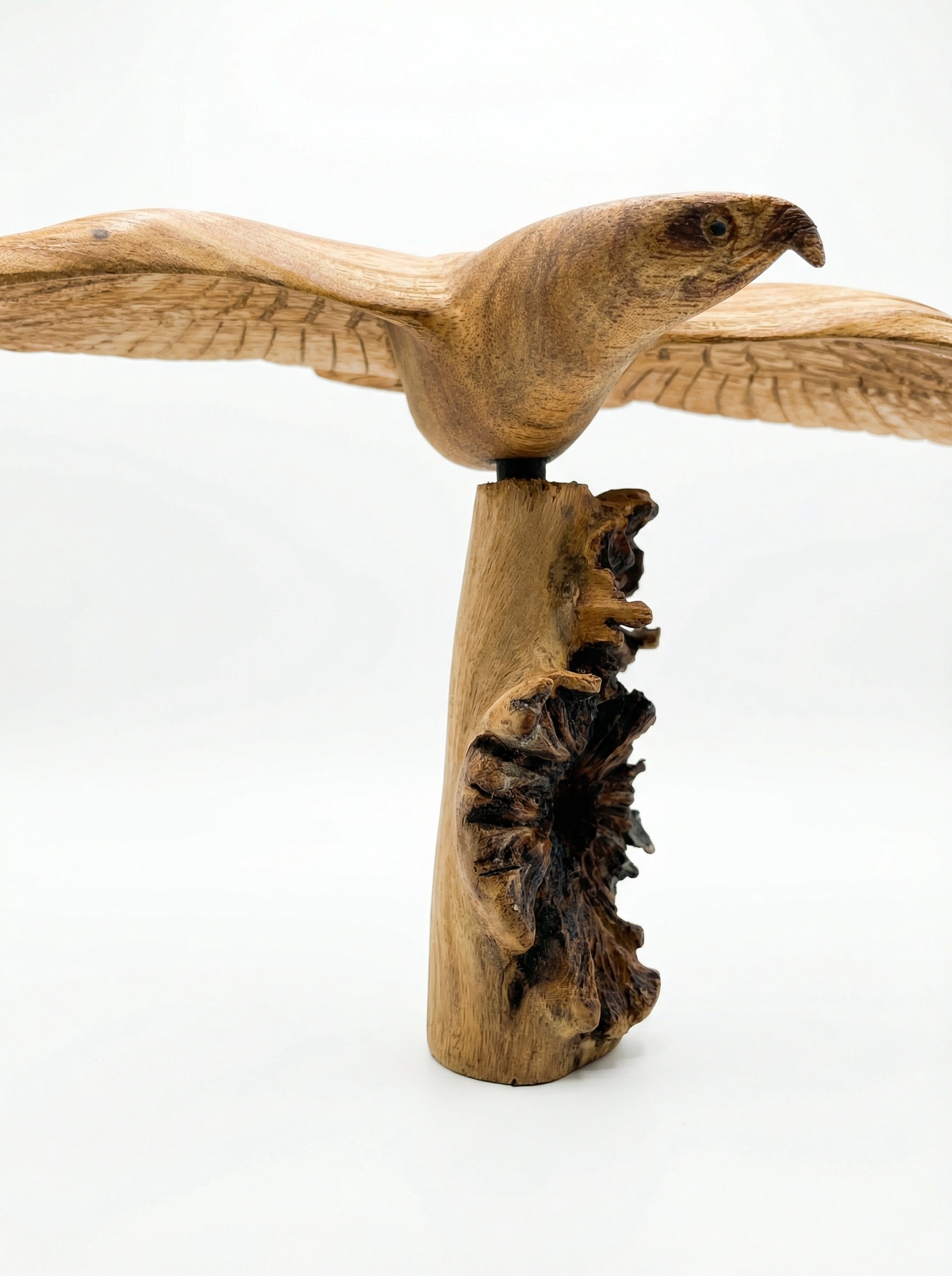 Flying Eagle - Wood Carving